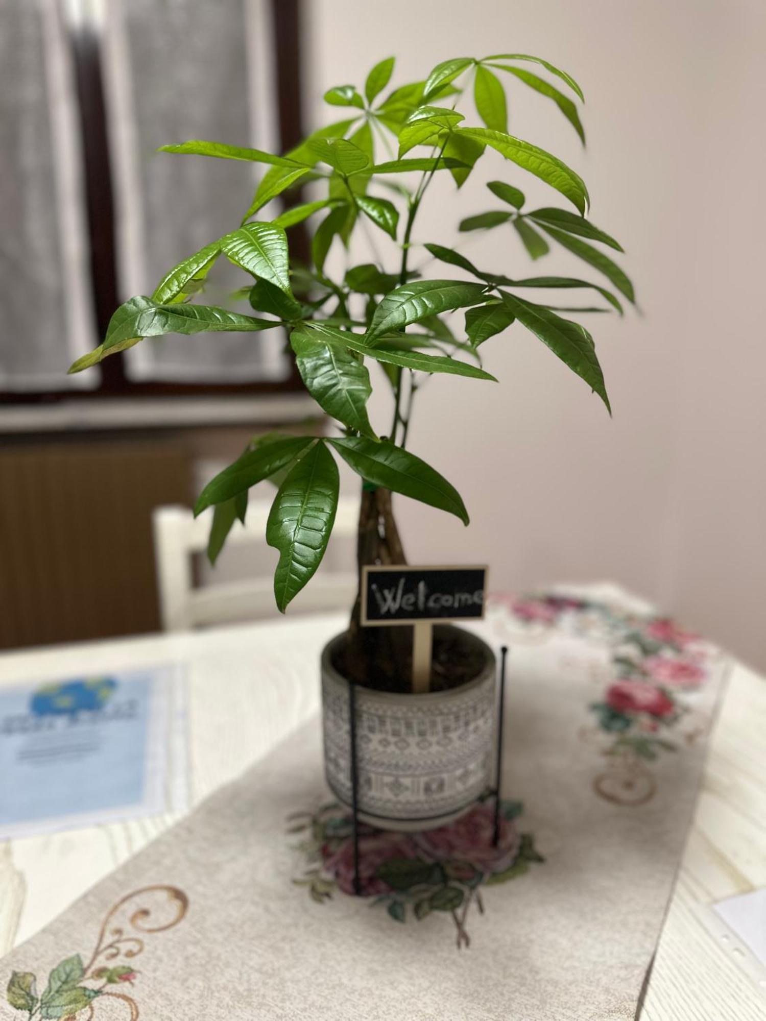 Malpensa - The Grace Place Oleggio Zewnętrze zdjęcie